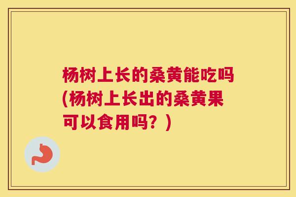 杨树上长的桑黄能吃吗(杨树上长出的桑黄果可以食用吗?) 杨树上长的桑黄能吃吗(杨树上长出的桑黄果可以食用吗?)