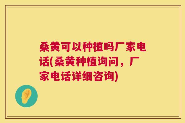 桑黄可以种植吗厂家电话(桑黄种植询问,厂家电话详细咨询) 桑黄可以种植吗厂家电话(桑黄种植询问,厂家电话详细咨询)