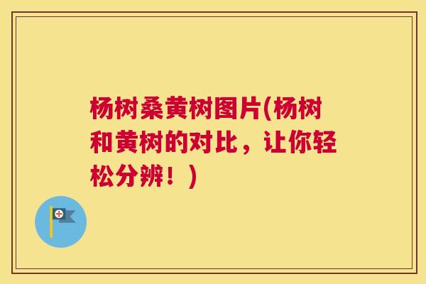 杨树桑黄树图片(杨树和黄树的对比,让你轻松分辨!) 杨树桑黄树图片(杨树和黄树的对比,让你轻松分辨!)