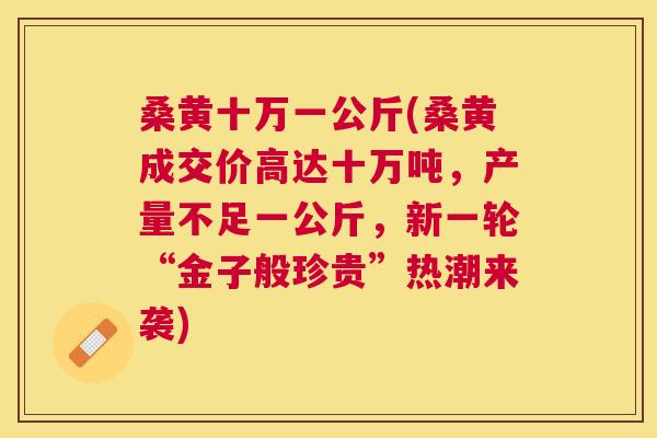 桑黄十万一公斤(桑黄成交价高达十万吨,产量不足一公斤,新一轮“金子般珍贵”热潮来袭) 桑黄十万一公斤(桑黄成交价高达十万吨,产量不足一公斤,新一轮“金子般珍贵”热潮来袭)