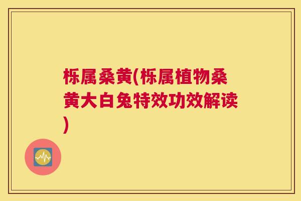 栎属桑黄(栎属植物桑黄大白兔特效功效解读) 栎属桑黄(栎属植物桑黄大白兔特效功效解读)