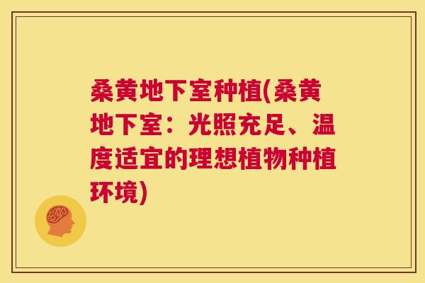 桑黄地下室种植(桑黄地下室:光照充足、温度适宜的理想植物种植环境) 桑黄地下室种植(桑黄地下室:光照充足、温度适宜的理想植物种植环境)