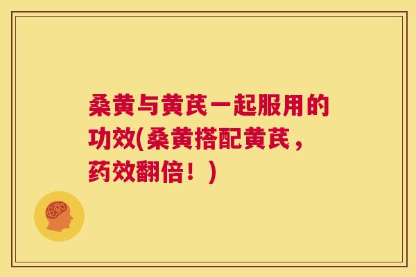 桑黄与黄芪一起服用的功效(桑黄搭配黄芪,翻倍!) 桑黄与黄芪一起服用的功效(桑黄搭配黄芪,翻倍!)