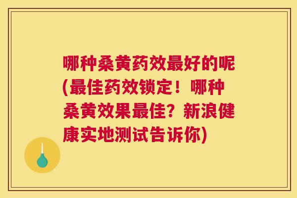 哪种桑黄好的呢(佳锁定!哪种桑黄效果佳?新浪健康实地测试告诉你) 哪种桑黄好的呢(佳锁定!哪种桑黄效果佳?新浪健康实地测试告诉你)