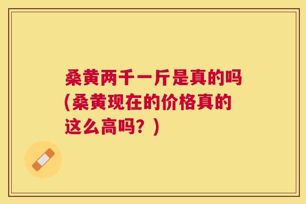 桑黄两千一斤是真的吗(桑黄现在的价格真的这么高吗?) 桑黄两千一斤是真的吗(桑黄现在的价格真的这么高吗?)