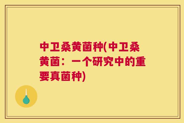 中卫桑黄菌种(中卫桑黄菌:一个研究中的重要真菌种) 中卫桑黄菌种(中卫桑黄菌:一个研究中的重要真菌种)