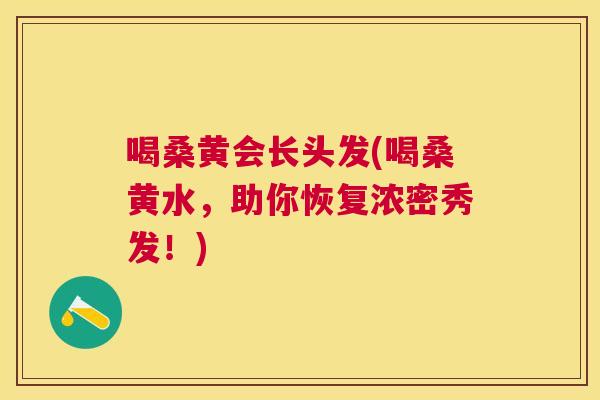 喝桑黄会长头发(喝桑黄水,助你恢复浓密秀发!) 喝桑黄会长头发(喝桑黄水,助你恢复浓密秀发!)