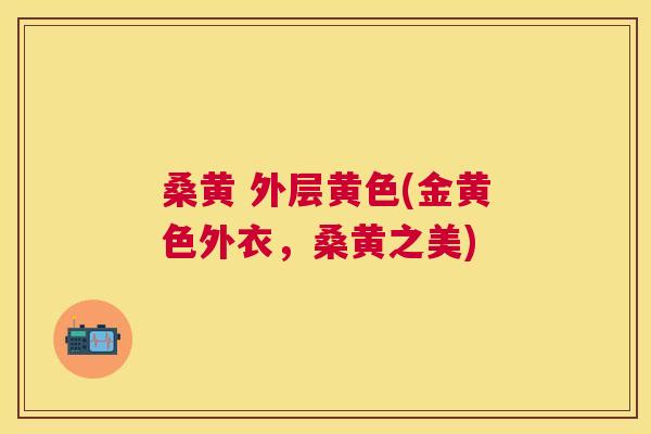 桑黄 外层黄色(金黄色外衣,桑黄之美) 桑黄 外层黄色(金黄色外衣,桑黄之美)