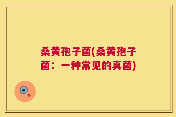 桑黄孢子菌(桑黄孢子菌:一种常见的真菌) 桑黄孢子菌(桑黄孢子菌:一种常见的真菌)