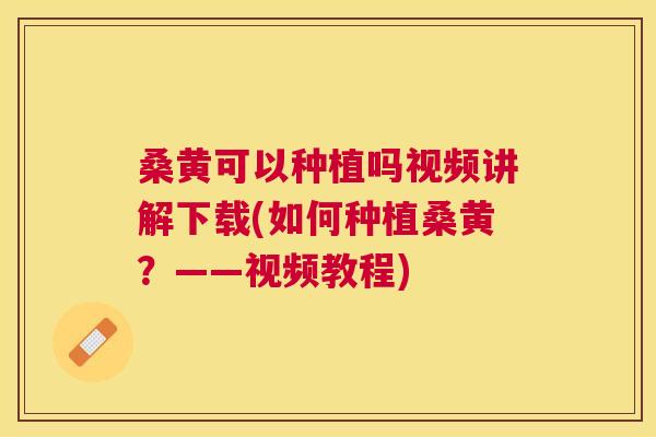 桑黄可以种植吗视频讲解下载(如何种植桑黄?——视频教程) 桑黄可以种植吗视频讲解下载(如何种植桑黄?——视频教程)