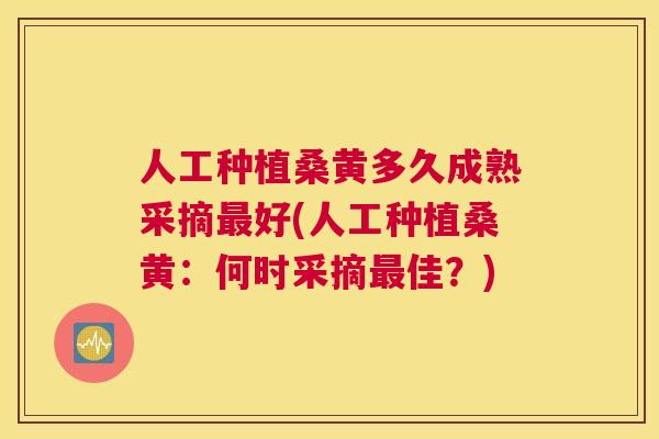 人工种植桑黄多久成熟采摘好(人工种植桑黄:何时采摘佳?) 人工种植桑黄多久成熟采摘好(人工种植桑黄:何时采摘佳?)