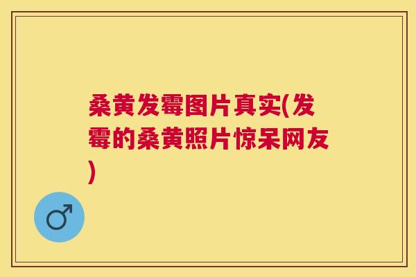 桑黄发霉图片真实(发霉的桑黄照片惊呆网友) 桑黄发霉图片真实(发霉的桑黄照片惊呆网友)