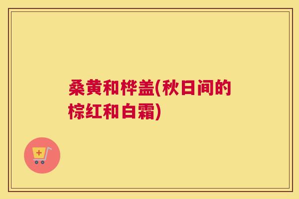 桑黄和桦盖(秋日间的棕红和白霜) 桑黄和桦盖(秋日间的棕红和白霜)