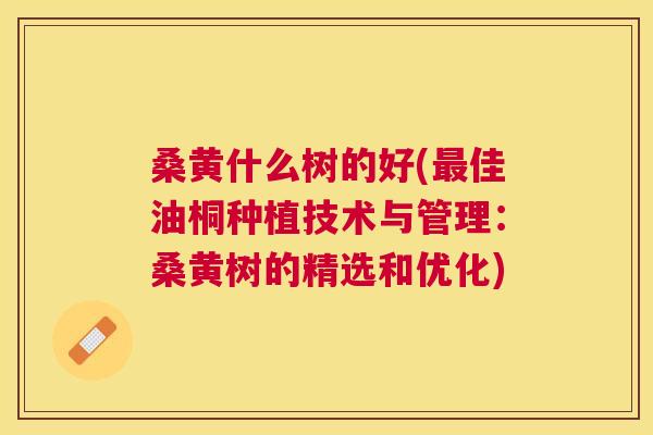 桑黄什么树的好(佳油桐种植技术与管理:桑黄树的精选和优化) 桑黄什么树的好(佳油桐种植技术与管理:桑黄树的精选和优化)
