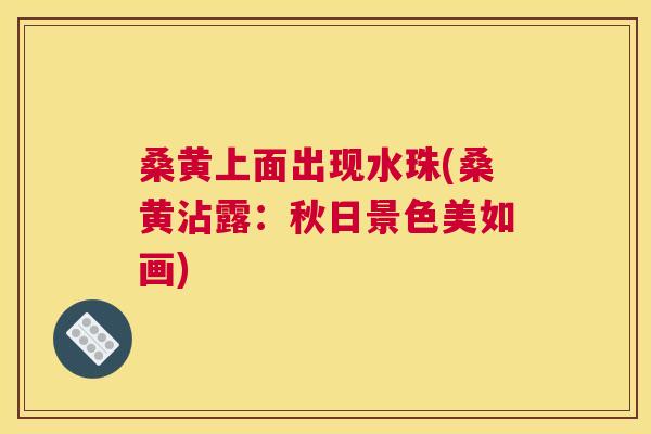 桑黄上面出现水珠(桑黄沾露:秋日景色美如画) 桑黄上面出现水珠(桑黄沾露:秋日景色美如画)