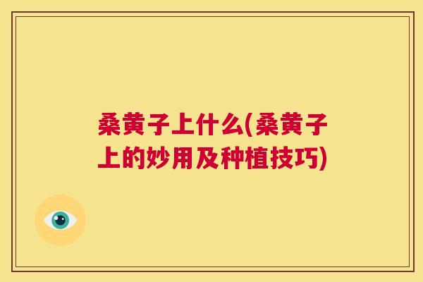 桑黄子上什么(桑黄子上的妙用及种植技巧) 桑黄子上什么(桑黄子上的妙用及种植技巧)