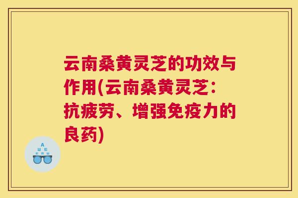 云南桑黄灵芝的功效与作用(云南桑黄灵芝:、增强力的良药) 云南桑黄灵芝的功效与作用(云南桑黄灵芝:、增强力的良药)