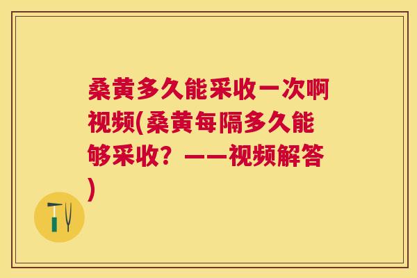 桑黄多久能采收一次啊视频(桑黄每隔多久能够采收?——视频解答) 桑黄多久能采收一次啊视频(桑黄每隔多久能够采收?——视频解答)