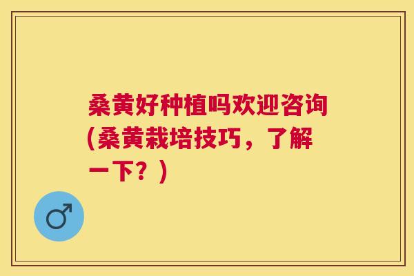 桑黄好种植吗欢迎咨询(桑黄栽培技巧,了解一下?) 桑黄好种植吗欢迎咨询(桑黄栽培技巧,了解一下?)