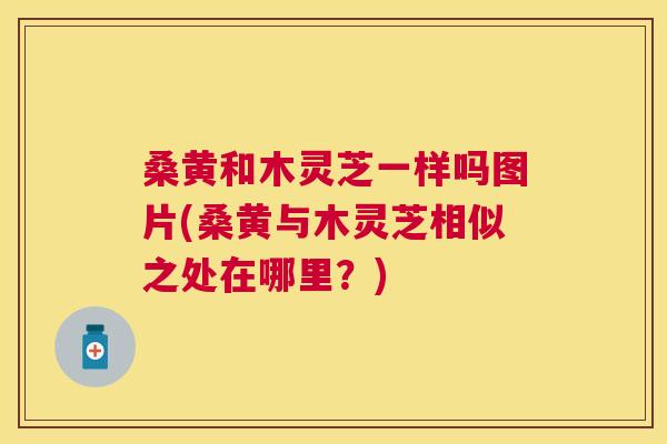 桑黄和木灵芝一样吗图片(桑黄与木灵芝相似之处在哪里?) 桑黄和木灵芝一样吗图片(桑黄与木灵芝相似之处在哪里?)