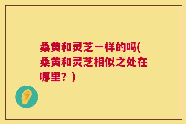 桑黄和灵芝一样的吗(桑黄和灵芝相似之处在哪里?) 桑黄和灵芝一样的吗(桑黄和灵芝相似之处在哪里?)