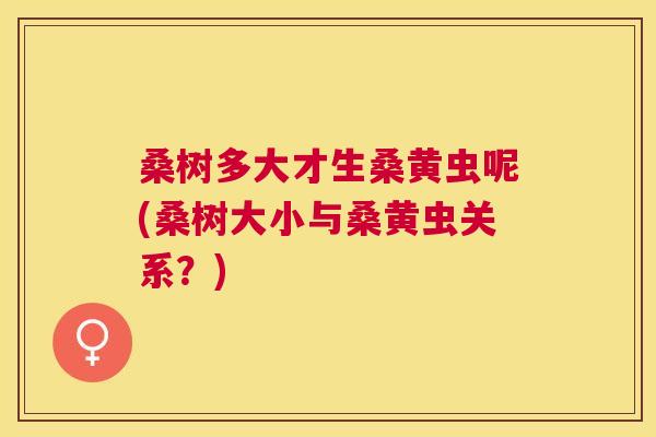 桑树多大才生桑黄虫呢(桑树大小与桑黄虫关系?) 桑树多大才生桑黄虫呢(桑树大小与桑黄虫关系?)