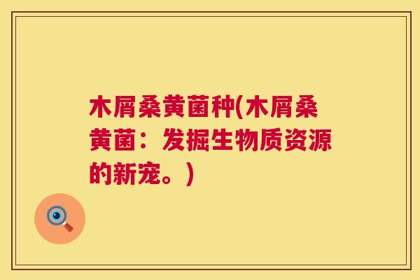 木屑桑黄菌种(木屑桑黄菌:发掘生物质资源的新宠。) 木屑桑黄菌种(木屑桑黄菌:发掘生物质资源的新宠。)