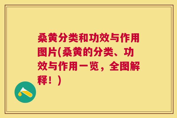 桑黄分类和功效与作用图片(桑黄的分类、功效与作用一览,全图解释!) 桑黄分类和功效与作用图片(桑黄的分类、功效与作用一览,全图解释!)