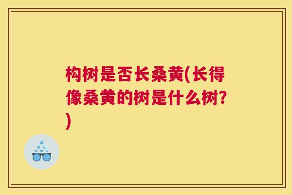 构树是否长桑黄(长得像桑黄的树是什么树?) 构树是否长桑黄(长得像桑黄的树是什么树?)