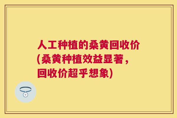 人工种植的桑黄回收价(桑黄种植效益显著，回收价超乎想象)