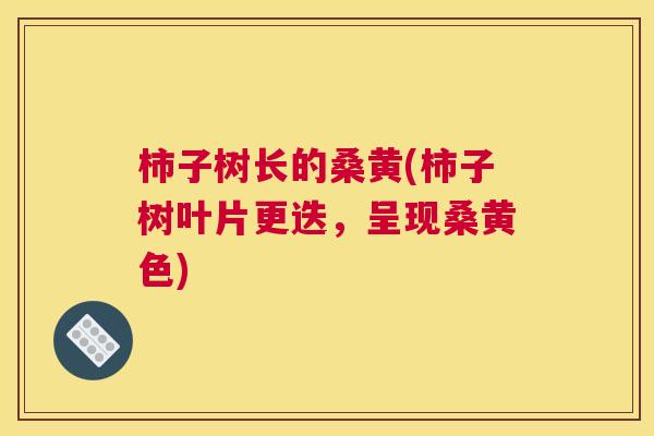 柿子树长的桑黄(柿子树叶片更迭,呈现桑黄色) 柿子树长的桑黄(柿子树叶片更迭,呈现桑黄色)