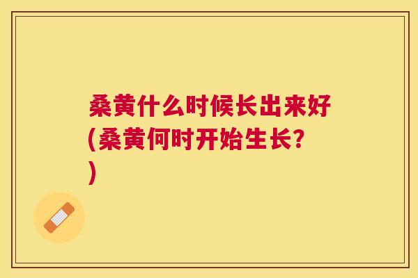 桑黄什么时候长出来好(桑黄何时开始生长?) 桑黄什么时候长出来好(桑黄何时开始生长?)