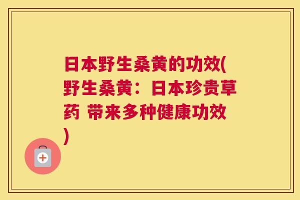 日本野生桑黄的功效(野生桑黄:日本珍贵草药 带来多种健康功效) 日本野生桑黄的功效(野生桑黄:日本珍贵草药 带来多种健康功效)