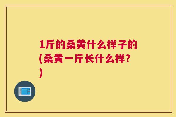 1斤的桑黄什么样子的(桑黄一斤长什么样?) 1斤的桑黄什么样子的(桑黄一斤长什么样?)