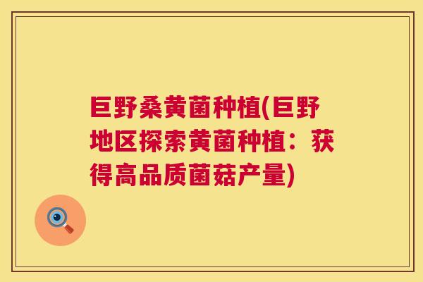巨野桑黄菌种植(巨野地区探索黄菌种植:获得高品质菌菇产量) 巨野桑黄菌种植(巨野地区探索黄菌种植:获得高品质菌菇产量)