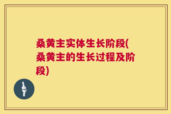 桑黄主实体生长阶段(桑黄主的生长过程及阶段) 桑黄主实体生长阶段(桑黄主的生长过程及阶段)
