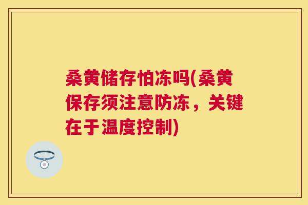 桑黄储存怕冻吗(桑黄保存须注意防冻,关键在于温度控制) 桑黄储存怕冻吗(桑黄保存须注意防冻,关键在于温度控制)