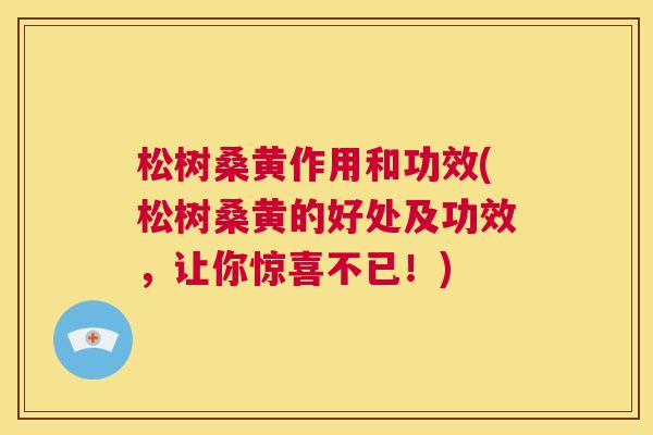 松树桑黄作用和功效(松树桑黄的好处及功效,让你惊喜不已!) 松树桑黄作用和功效(松树桑黄的好处及功效,让你惊喜不已!)