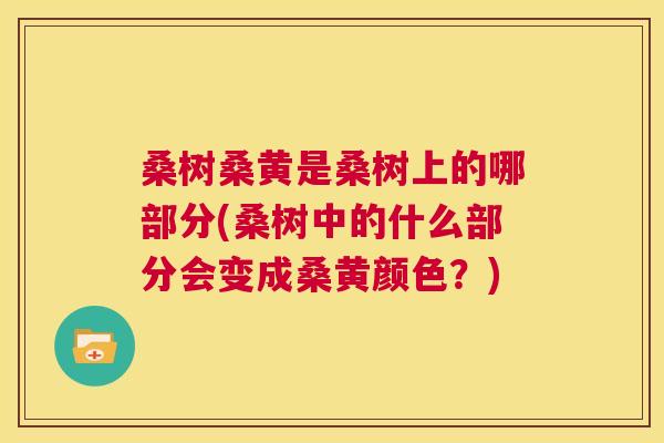 桑树桑黄是桑树上的哪部分(桑树中的什么部分会变成桑黄颜色?) 桑树桑黄是桑树上的哪部分(桑树中的什么部分会变成桑黄颜色?)
