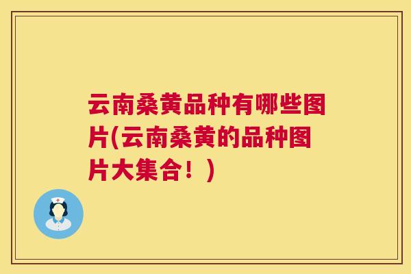 云南桑黄品种有哪些图片(云南桑黄的品种图片大集合!) 云南桑黄品种有哪些图片(云南桑黄的品种图片大集合!)