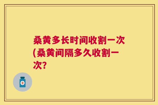桑黄多长时间收割一次(桑黄间隔多久收割一次? 桑黄多长时间收割一次(桑黄间隔多久收割一次?