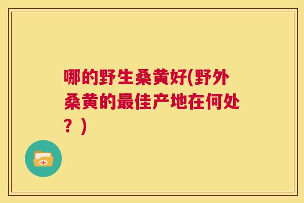 哪的野生桑黄好(野外桑黄的佳产地在何处?) 哪的野生桑黄好(野外桑黄的佳产地在何处?)