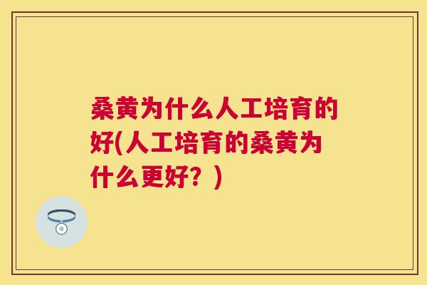 桑黄为什么人工培育的好(人工培育的桑黄为什么更好?) 桑黄为什么人工培育的好(人工培育的桑黄为什么更好?)
