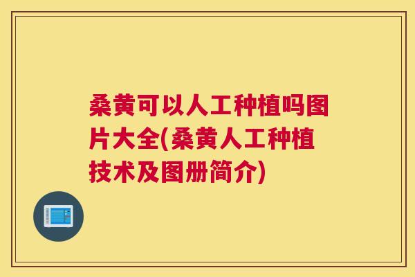 桑黄可以人工种植吗图片大全(桑黄人工种植技术及图册简介) 桑黄可以人工种植吗图片大全(桑黄人工种植技术及图册简介)