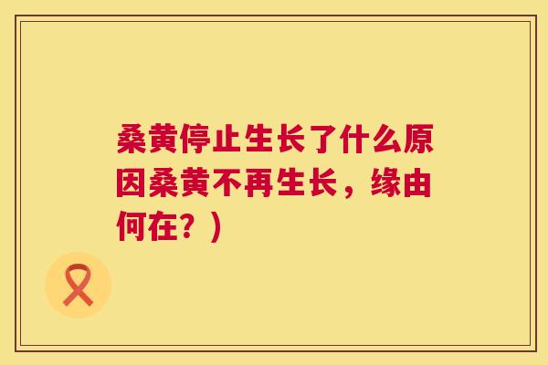 桑黄停止生长了什么原因桑黄不再生长,缘由何在?) 桑黄停止生长了什么原因桑黄不再生长,缘由何在?)