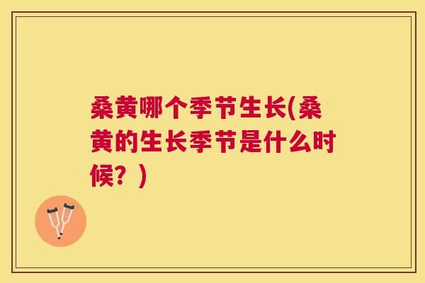 桑黄哪个季节生长(桑黄的生长季节是什么时候?) 桑黄哪个季节生长(桑黄的生长季节是什么时候?)