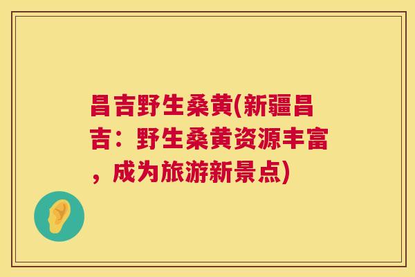 昌吉野生桑黄(新疆昌吉：野生桑黄资源丰富，成为旅游新景点)