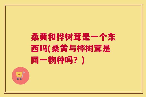 桑黄和桦树茸是一个东西吗(桑黄与桦树茸是同一物种吗?) 桑黄和桦树茸是一个东西吗(桑黄与桦树茸是同一物种吗?)