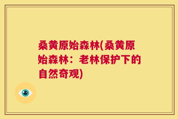 桑黄原始森林(桑黄原始森林:老林保护下的自然奇观) 桑黄原始森林(桑黄原始森林:老林保护下的自然奇观)