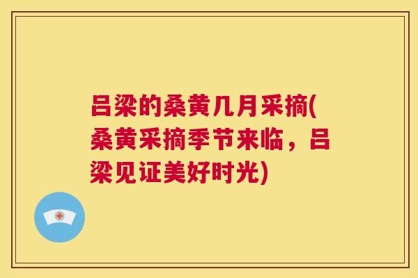 吕梁的桑黄几月采摘(桑黄采摘季节来临,吕梁见证美好时光) 吕梁的桑黄几月采摘(桑黄采摘季节来临,吕梁见证美好时光)